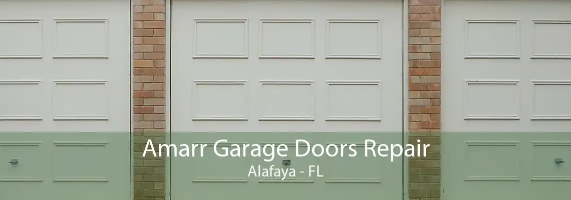 Amarr Garage Doors Repair Alafaya - FL