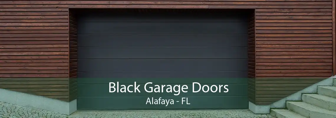 Black Garage Doors Alafaya - FL