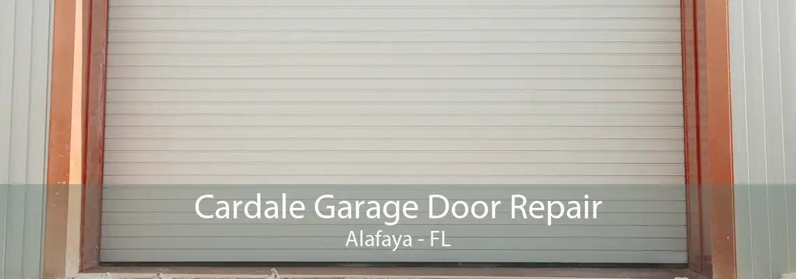 Cardale Garage Door Repair Alafaya - FL