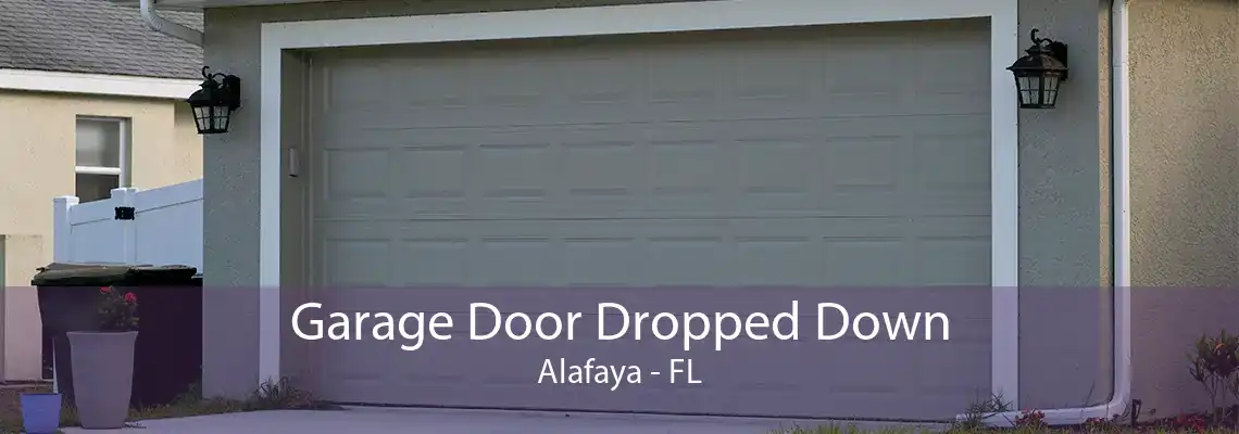 Garage Door Dropped Down Alafaya - FL