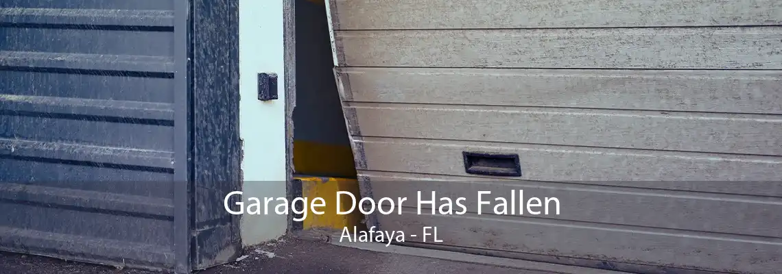 Garage Door Has Fallen Alafaya - FL