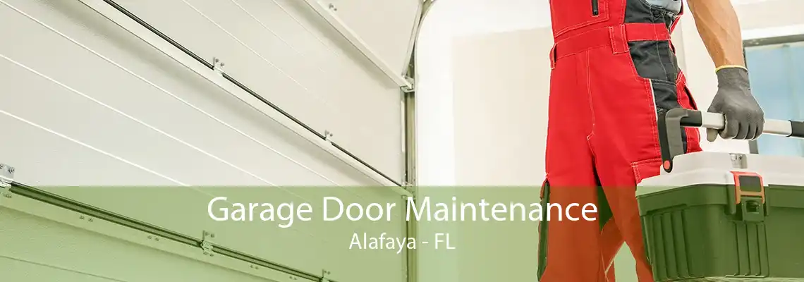 Garage Door Maintenance Alafaya - FL