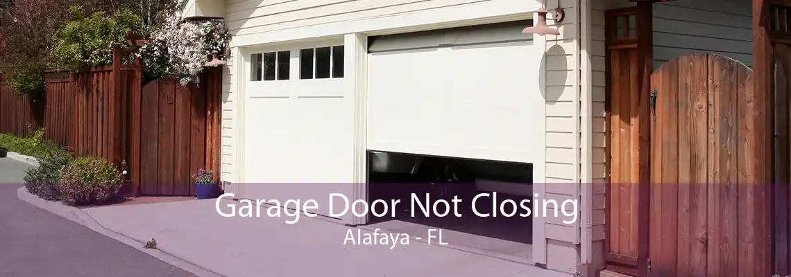 Garage Door Not Closing Alafaya - FL