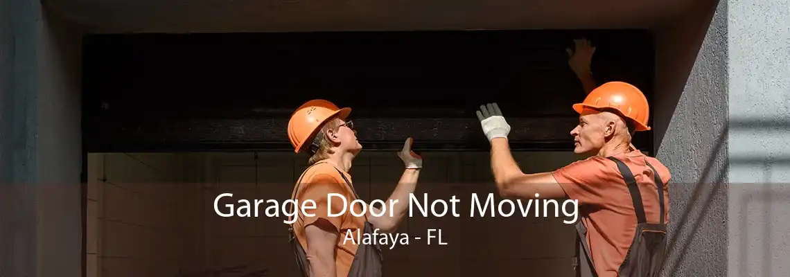 Garage Door Not Moving Alafaya - FL