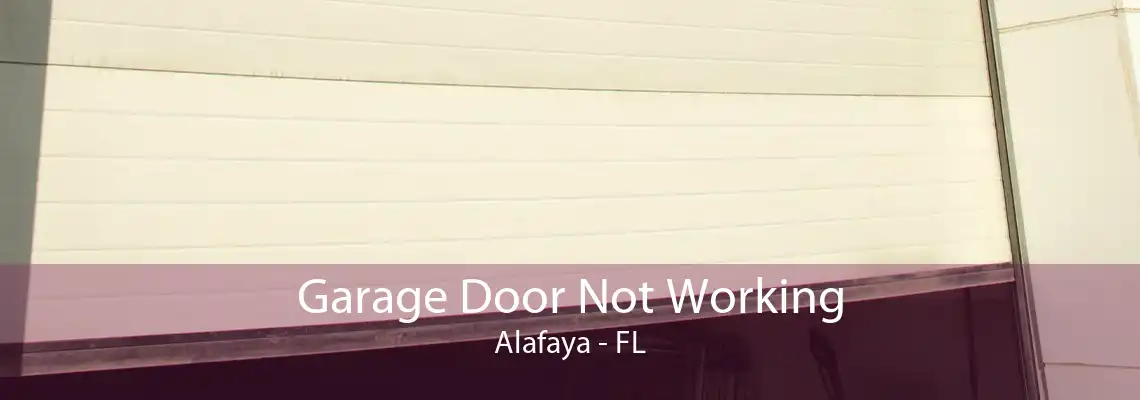 Garage Door Not Working Alafaya - FL