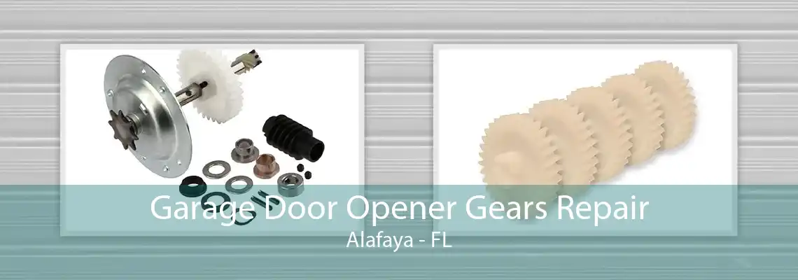 Garage Door Opener Gears Repair Alafaya - FL