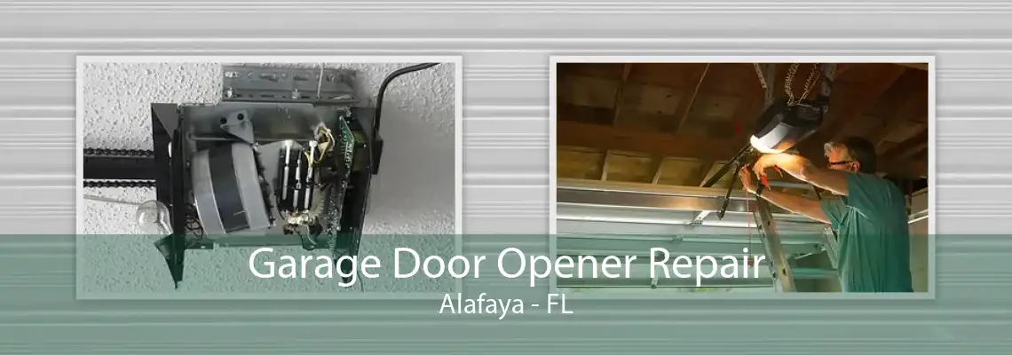 Garage Door Opener Repair Alafaya - FL