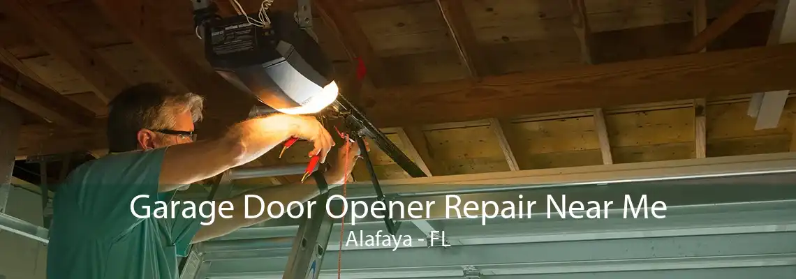 Garage Door Opener Repair Near Me Alafaya - FL