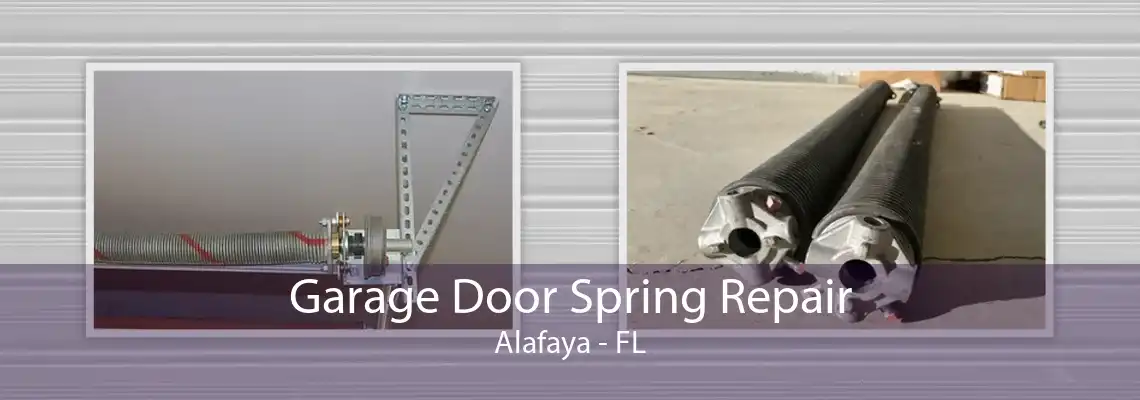 Garage Door Spring Repair Alafaya - FL