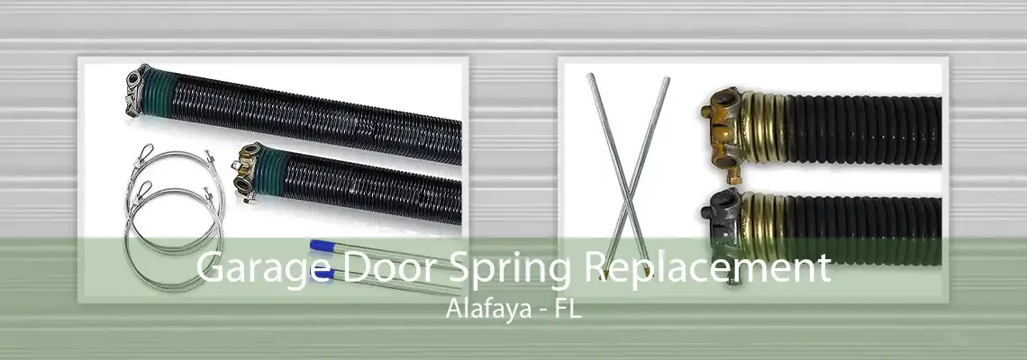 Garage Door Spring Replacement Alafaya - FL