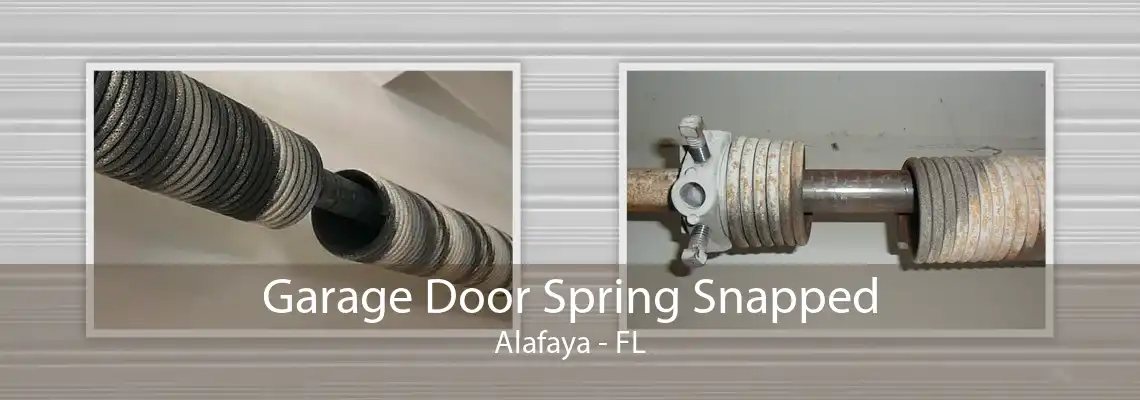 Garage Door Spring Snapped Alafaya - FL