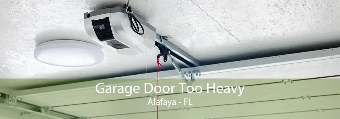 Garage Door Too Heavy Alafaya - FL