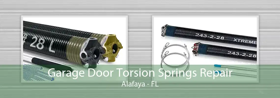 Garage Door Torsion Springs Repair Alafaya - FL