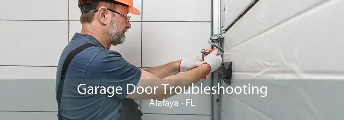 Garage Door Troubleshooting Alafaya - FL