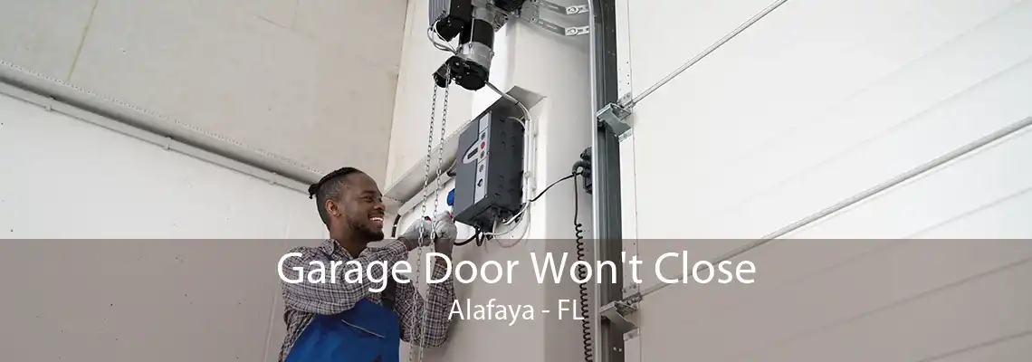 Garage Door Won't Close Alafaya - FL