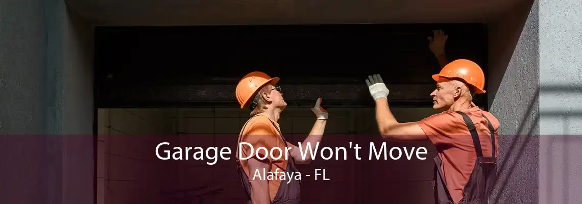 Garage Door Won't Move Alafaya - FL