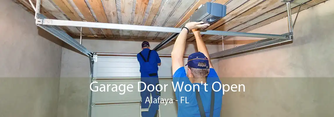 Garage Door Won't Open Alafaya - FL