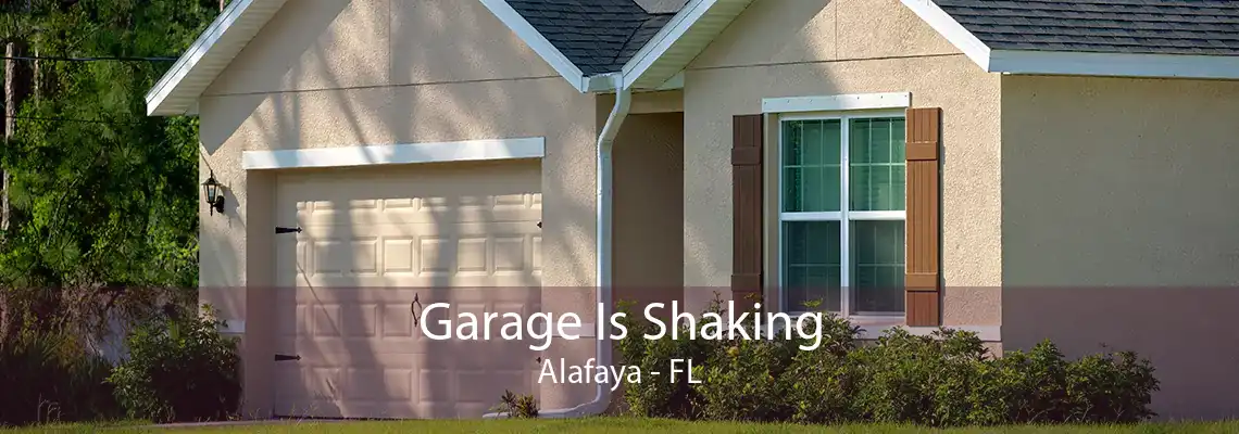 Garage Is Shaking Alafaya - FL