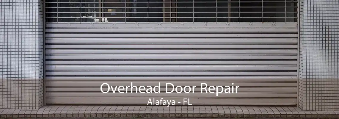 Overhead Door Repair Alafaya - FL