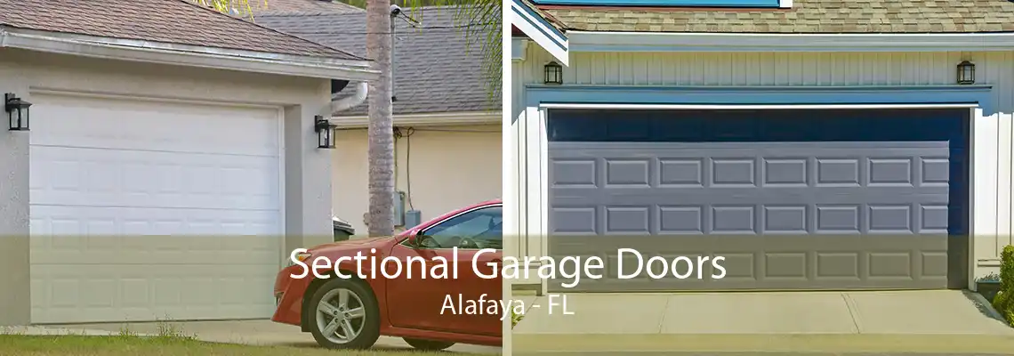 Sectional Garage Doors Alafaya - FL